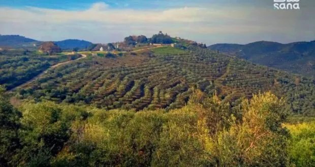 سوريا: أجواء خريفية مستقرة مع ارتفاع في درجات الحرارة يتجاوز المعدلات السنوية