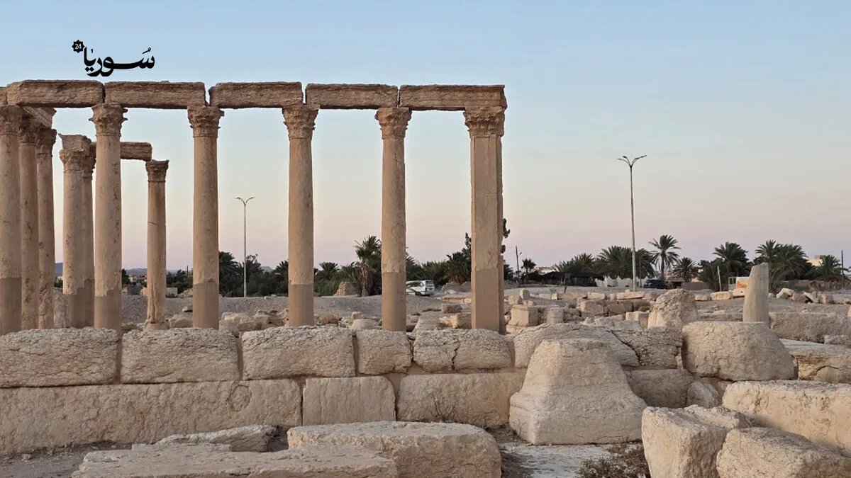 تدهور الخدمات في تدمر: ضغط التوسع السكاني يفاقم الأزمة رغم الجهود المبذولة