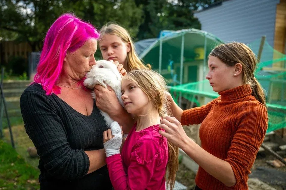 جريمة مروعة في ألمانيا: مجهول يعذب أرانب أسرة بطريقة وحشية ويشوهها