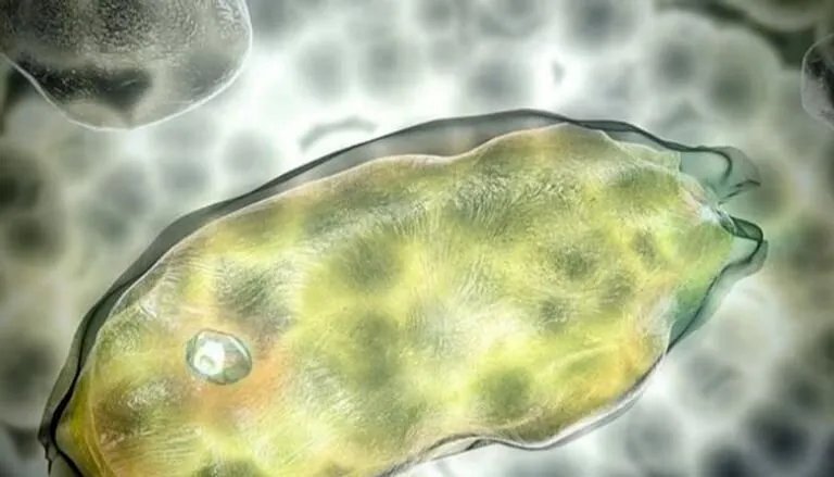 تحذيرات من "وباء جليدي" محتمل بعد إحياء علماء ميكروبات عمرها 40 ألف عام