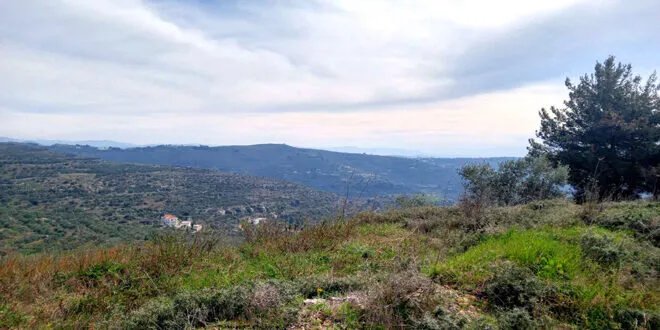 ارتفاع مستمر في درجات الحرارة في سوريا مع أجواء ربيعية معتدلة