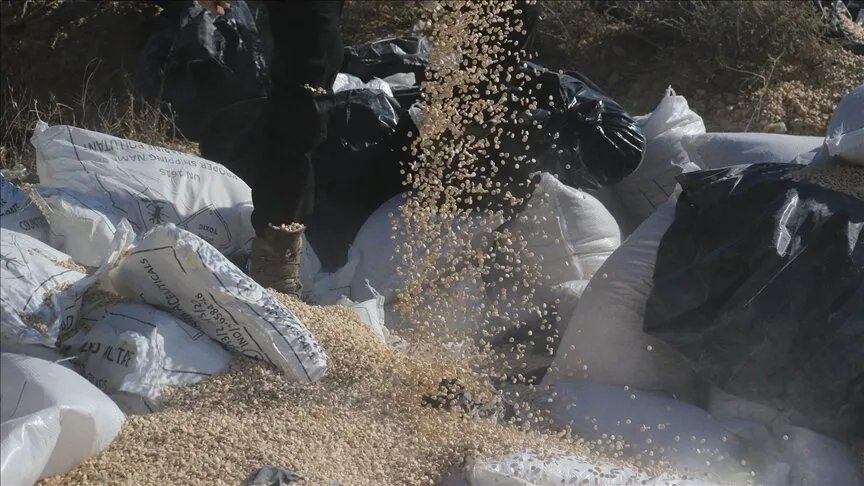 سوريا ما بعد الأسد: الكشف عن تحديات تفكيك شبكات الكبتاغون وإعادة انتشارها