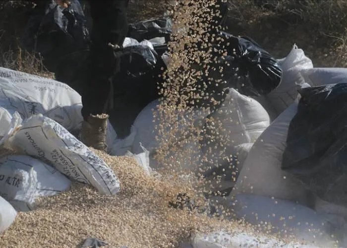 سوريا بعد الأسد: شبكات الكبتاغون.. من التفكيك إلى إعادة الانتشار