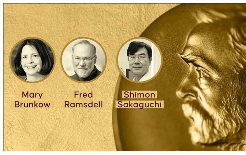 تقديرًا لأبحاثهم في علم المناعة: أمريكيان وياباني يحصدون جائزة نوبل في الطب