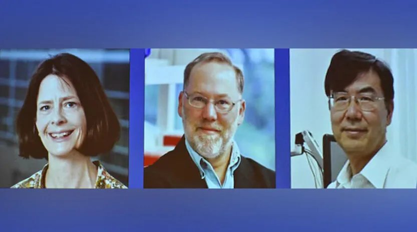 تكريم ثلاثة باحثين بجائزة نوبل في الطب 2025 لأبحاثهم الرائدة في علم المناعة