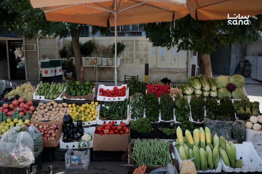 بالأسعار التفصيلية: جولة مصورة في سوق الخضار بشارع الأمين في دمشق تكشف عن أسعار الفواكه والخضراوات