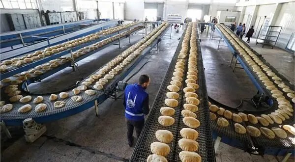 من الاستجابة الطارئة إلى التنمية المستدامة: "الإغاثة الإسلامية" تعزز جهودها في سوريا