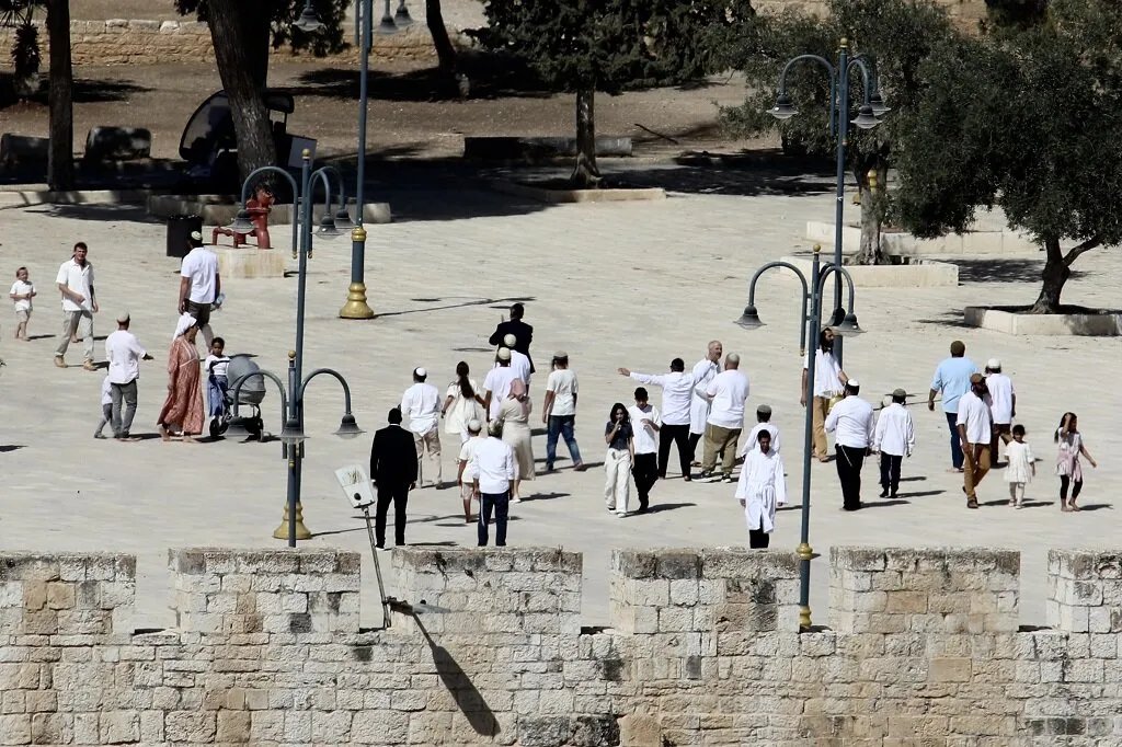 منظمة التعاون الإسلامي تدين بشدة اقتحام المستوطنين للمسجد الأقصى وتعتبره خرقاً للقرارات الدولية