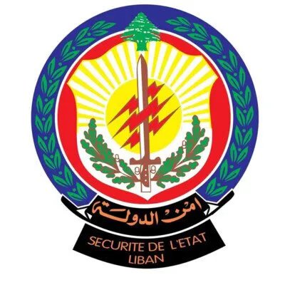 أمن الدولة اللبناني يوقف سورياً بتهمة ابتزاز فتيات عبر تيك توك
