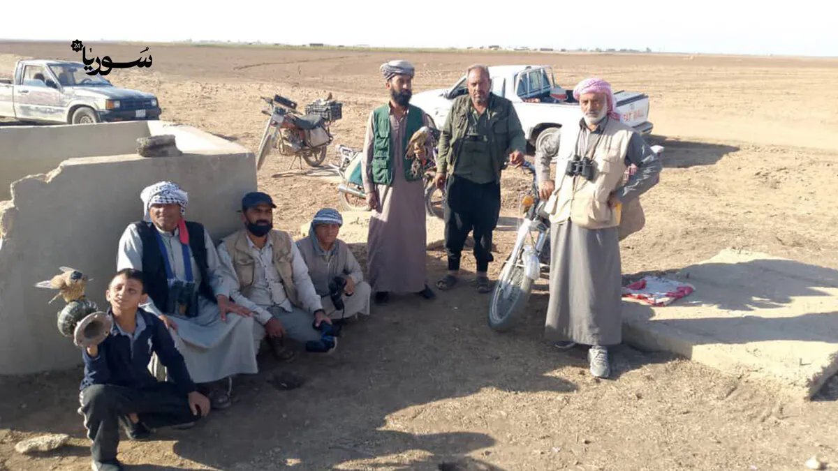 شغف وخبرة: صيادو الحسكة يستعدون لموسم صيد الطير الحر بتقاليد متوارثة
