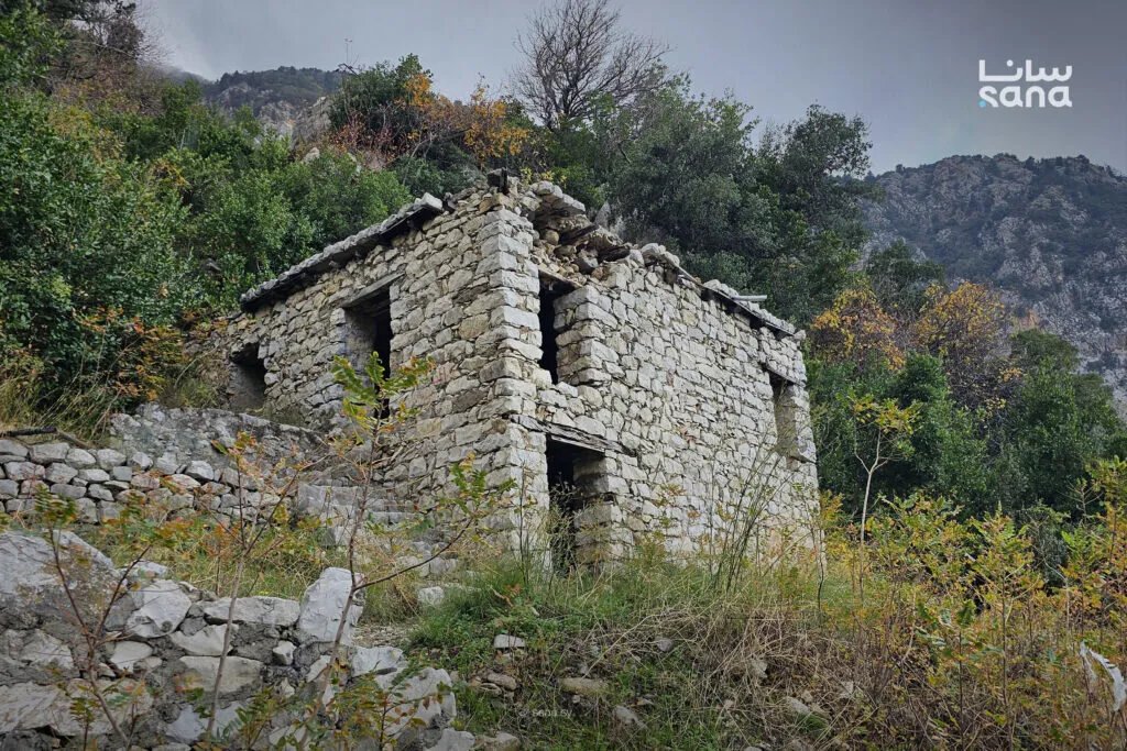 ارتفاع طفيف في درجات الحرارة في معظم أنحاء سوريا مع توقعات بأمطار خفيفة على الساحل