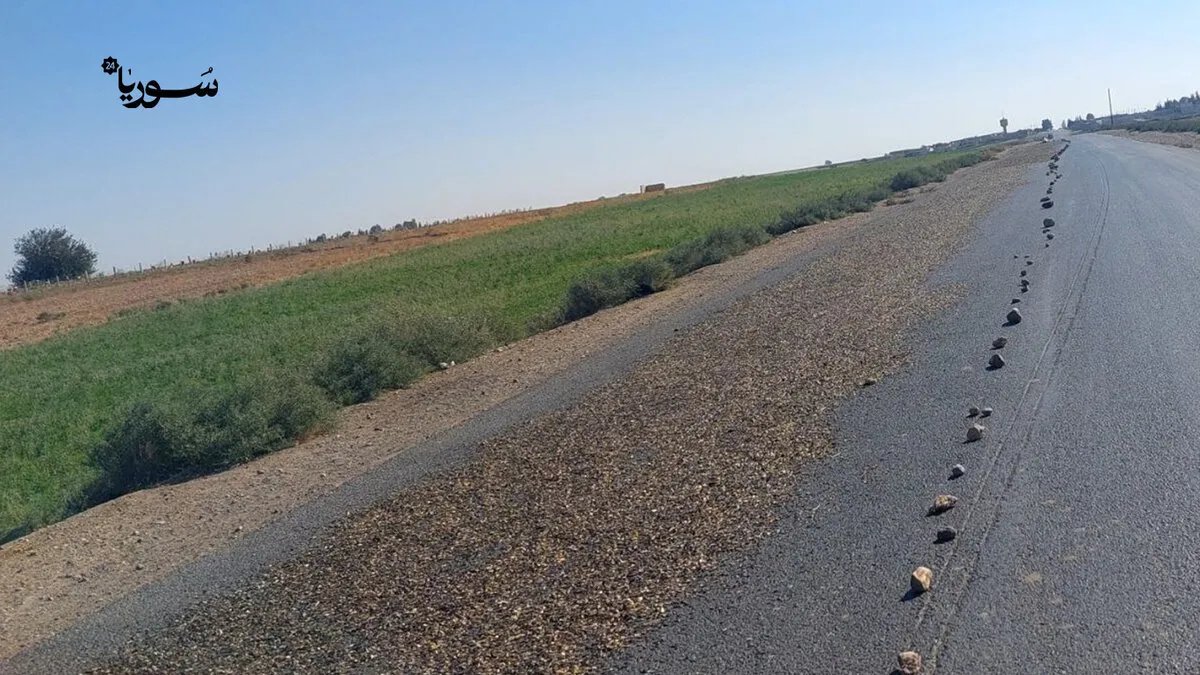 الرقة: انتشار تجفيف المحاصيل على الطرقات يهدد السلامة المرورية ويثير قلق السكان