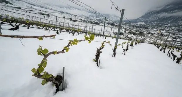 مأساة في جبال الألب: أربعة قتلى جراء انهيارات ثلجية وأحوال جوية قاسية