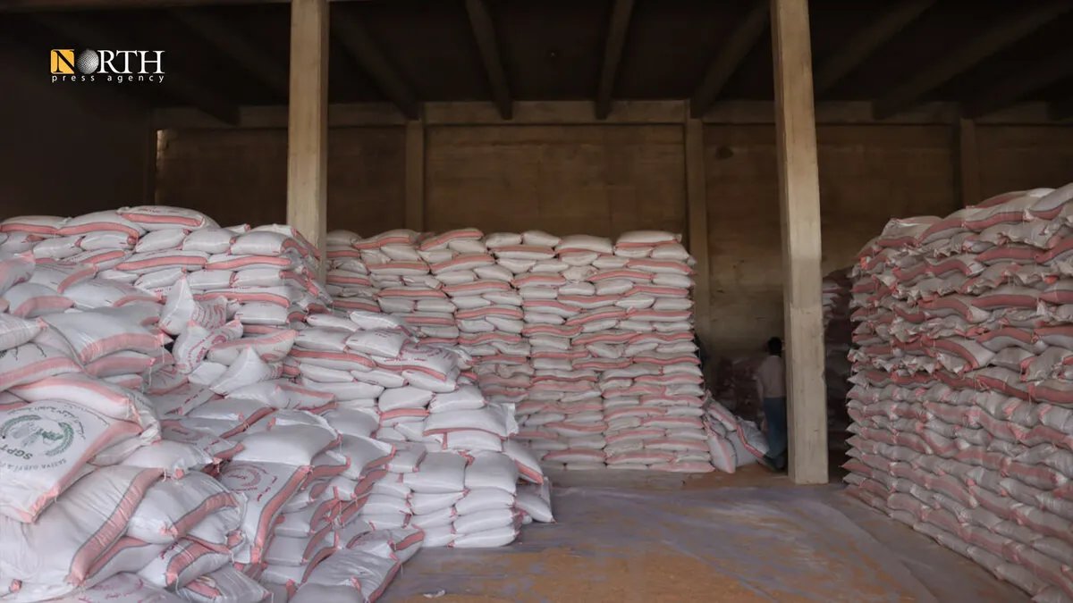 الإدارة الذاتية تطلق توزيع البذور على المزارعين من مركز إكثار البذار في الحسكة