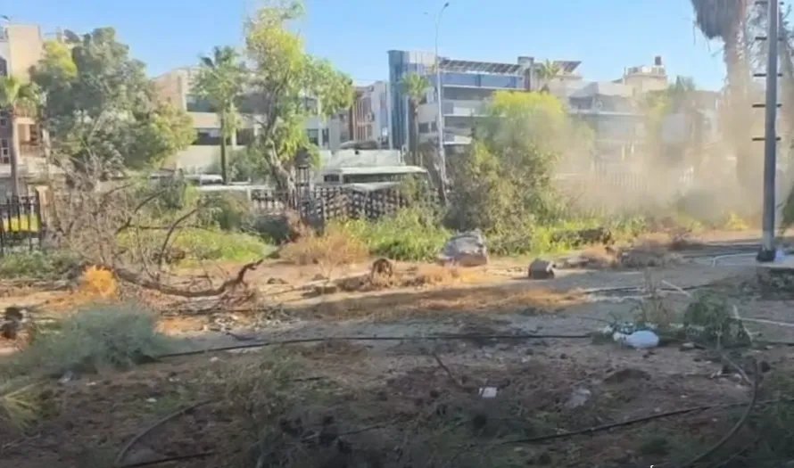 دمشق: قطع عشرات الأشجار في حديقة الجلاء بإشراف المحافظة يثير استياء