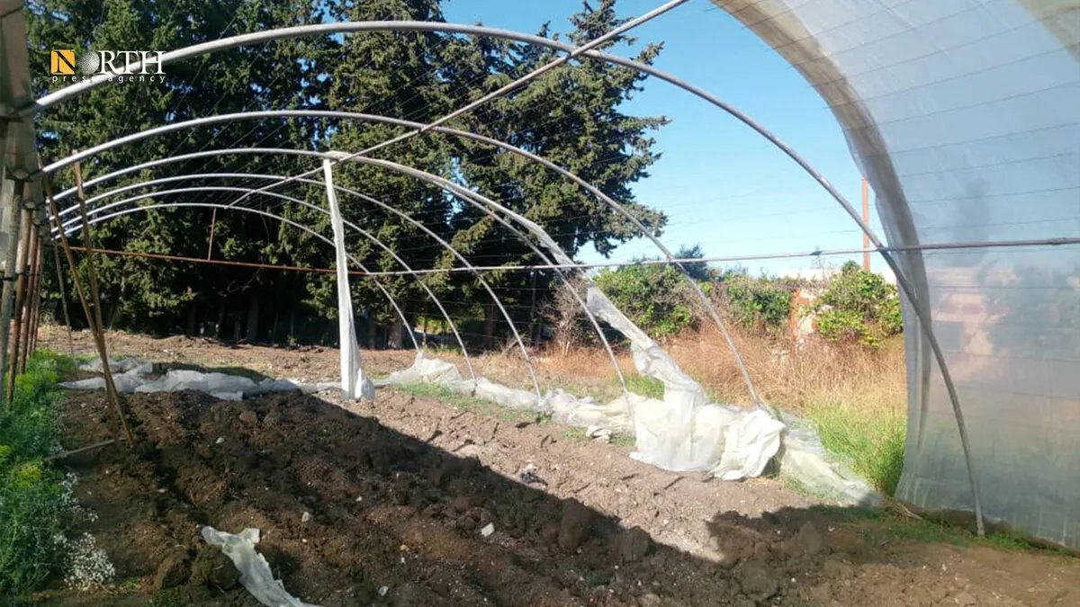 أضرار جسيمة تلحق بمشاريع زراعية في بانياس بسبب "تنين بحري"