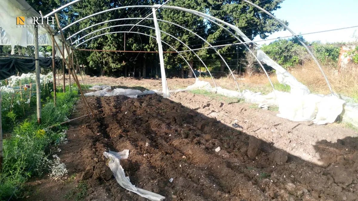 أضرار زراعية وانقطاع الكهرباء في ريف طرطوس نتيجة تنين بحري وصاعقة