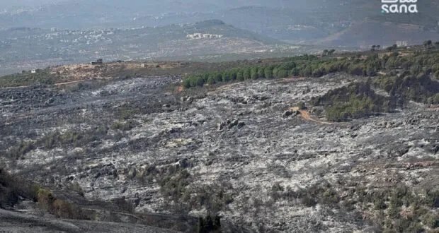 حمص: جهود مكثفة لإعادة تأهيل غابات وادي النصارى المتضررة من الحرائق