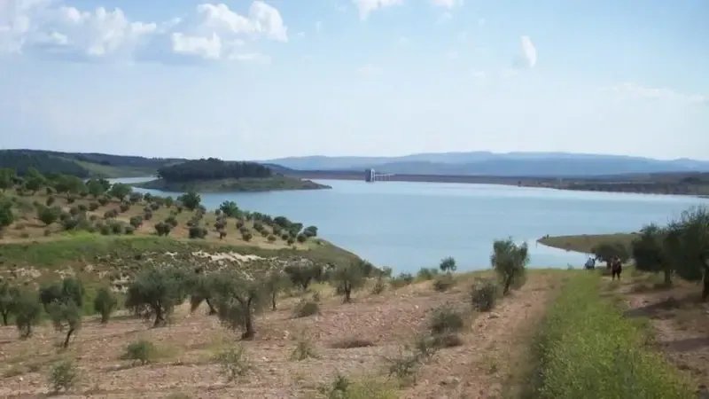 لجنة رد الحقوق في عفرين تحقق إنجازات كبيرة: استعادة آلاف العقارات والأراضي لأصحابها بعد سنوات من التجاوزات