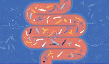 ميكروبات الأمعاء: كيف تؤثر على صحتك ومزاجك وما هي الأطعمة التي تغذيها؟