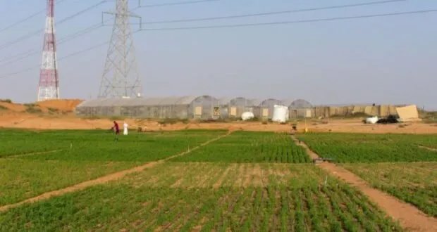 خبير اقتصادي يدعو إلى إصلاح السياسات الزراعية في سوريا وتبني أنظمة حديثة