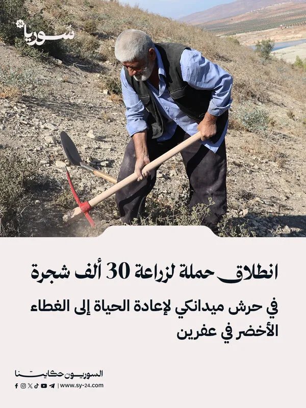 حملة واسعة النطاق لإحياء حرش ميدانكي في عفرين بزراعة 30 ألف شجرة