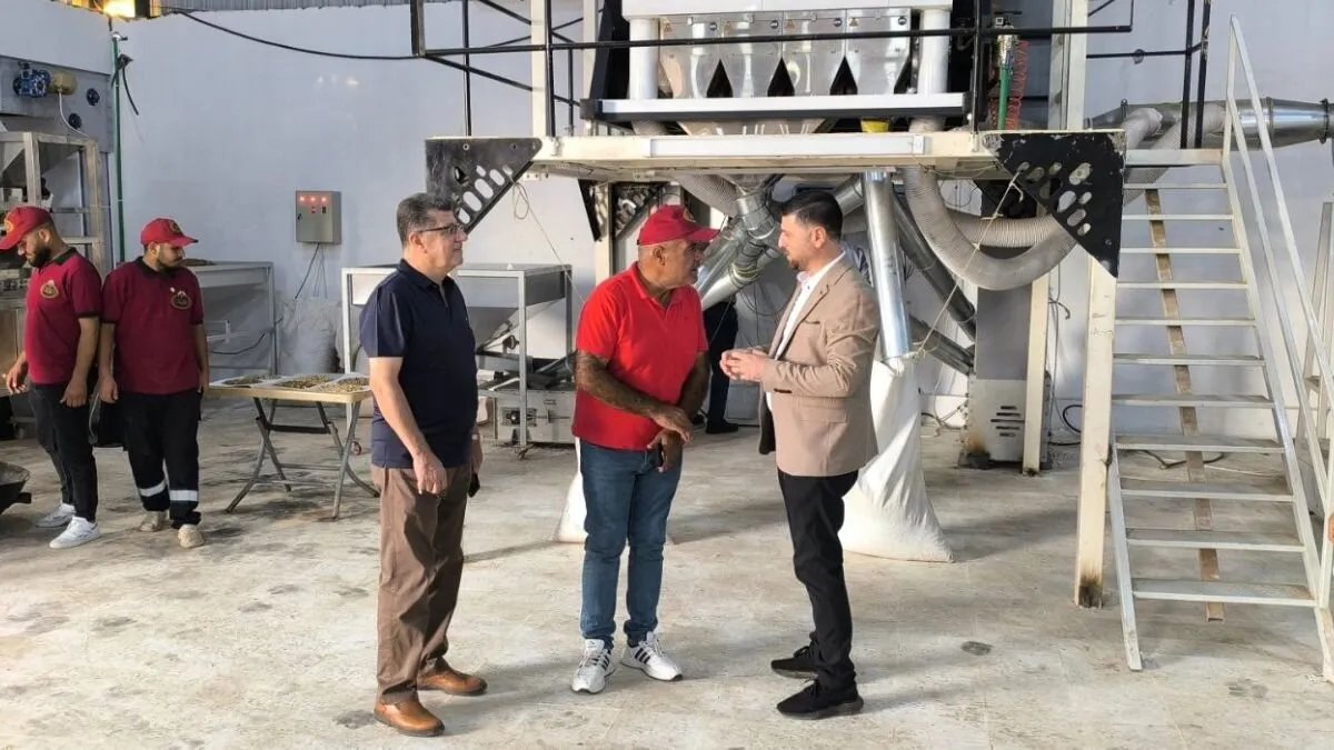 تسجيل أكثر من 11 ألف شركة في سوريا منذ بداية عام 2025: تفاصيل وأرقام