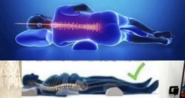 دليل شامل لأطعمة تساعدك على نوم هانئ ونصائح ذهبية لتحسين عادات نومك