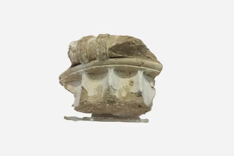 بعد 50 عاماً: ألمانية تعيد قطعة أثرية مسروقة إلى اليونان