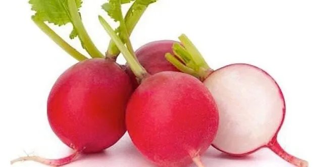 اكتشف قوة الفجل: فوائد صحية وعلاجية مدعومة بالدراسات العلمية