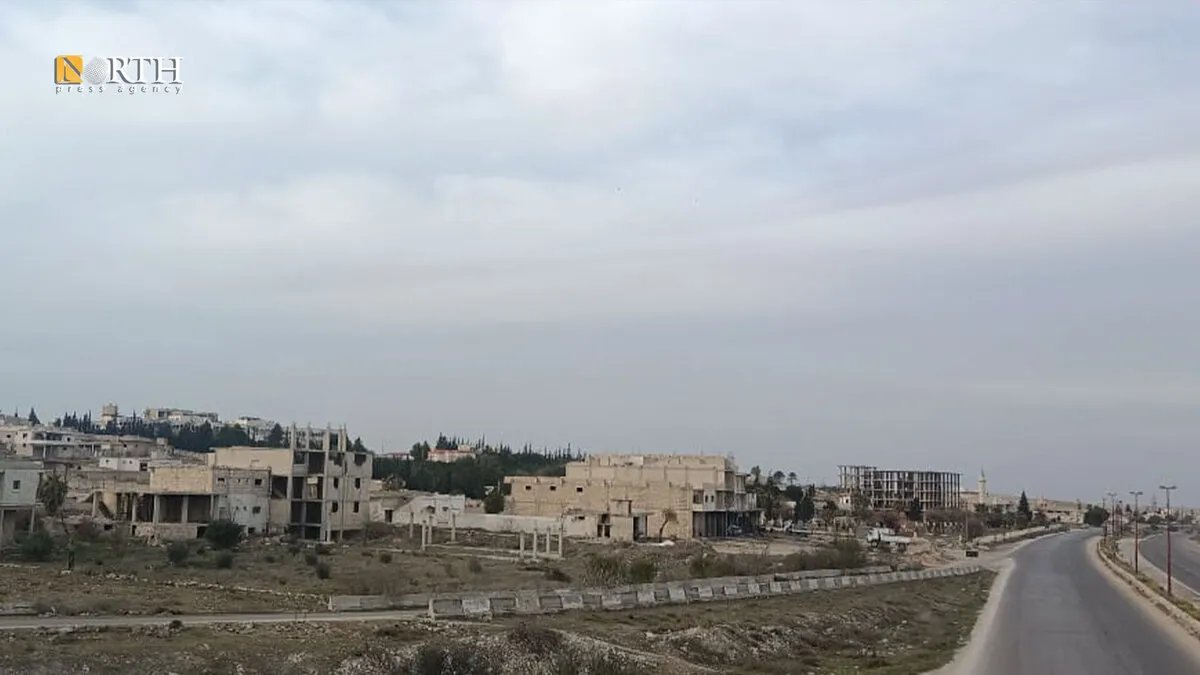 ذعر في ريف إدلب بعد هروب ثلاثة أسود وعمليات بحث مكثفة