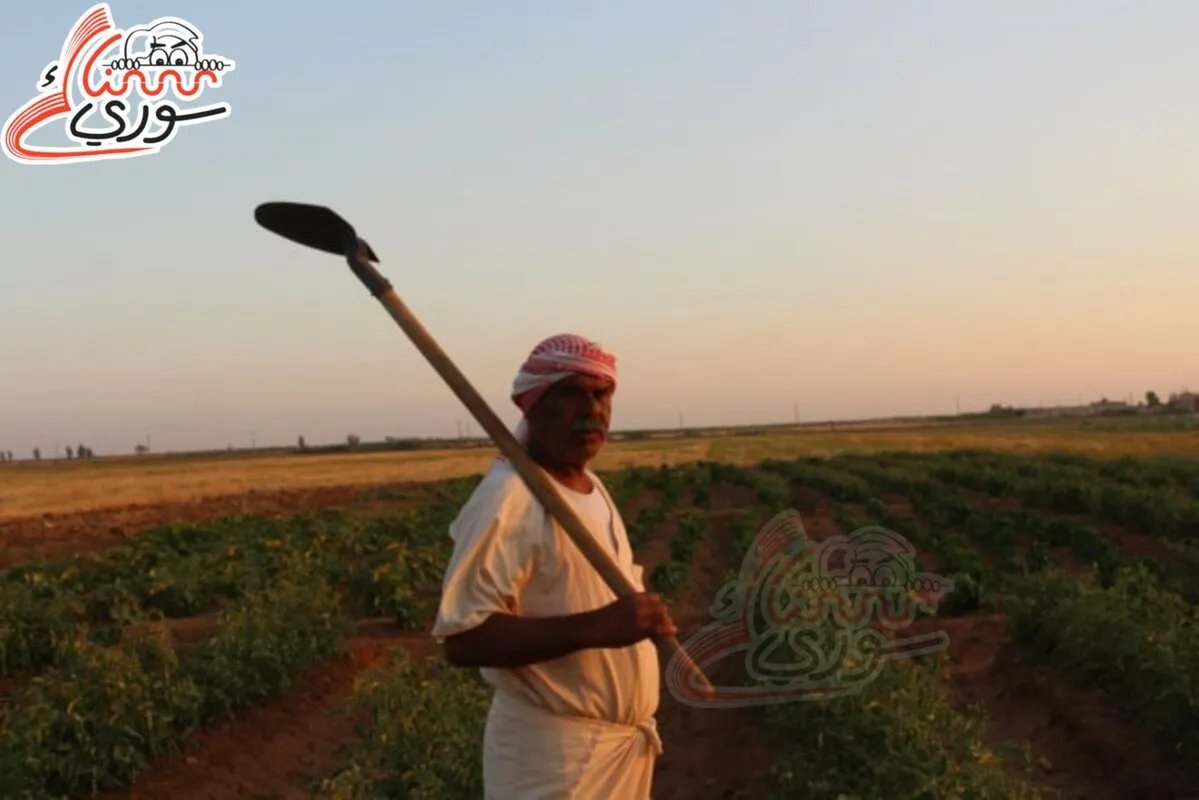 صدمة في حلب: مزارعون يطالبون بفوائد على قروض الطاقة الشمسية 'الصفرية'