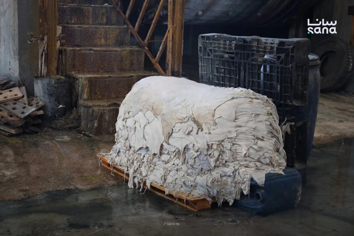 صناعة الجلود السورية: تحديات اقتصادية تعيق التصدير وتفاقم ارتفاع التكاليف
