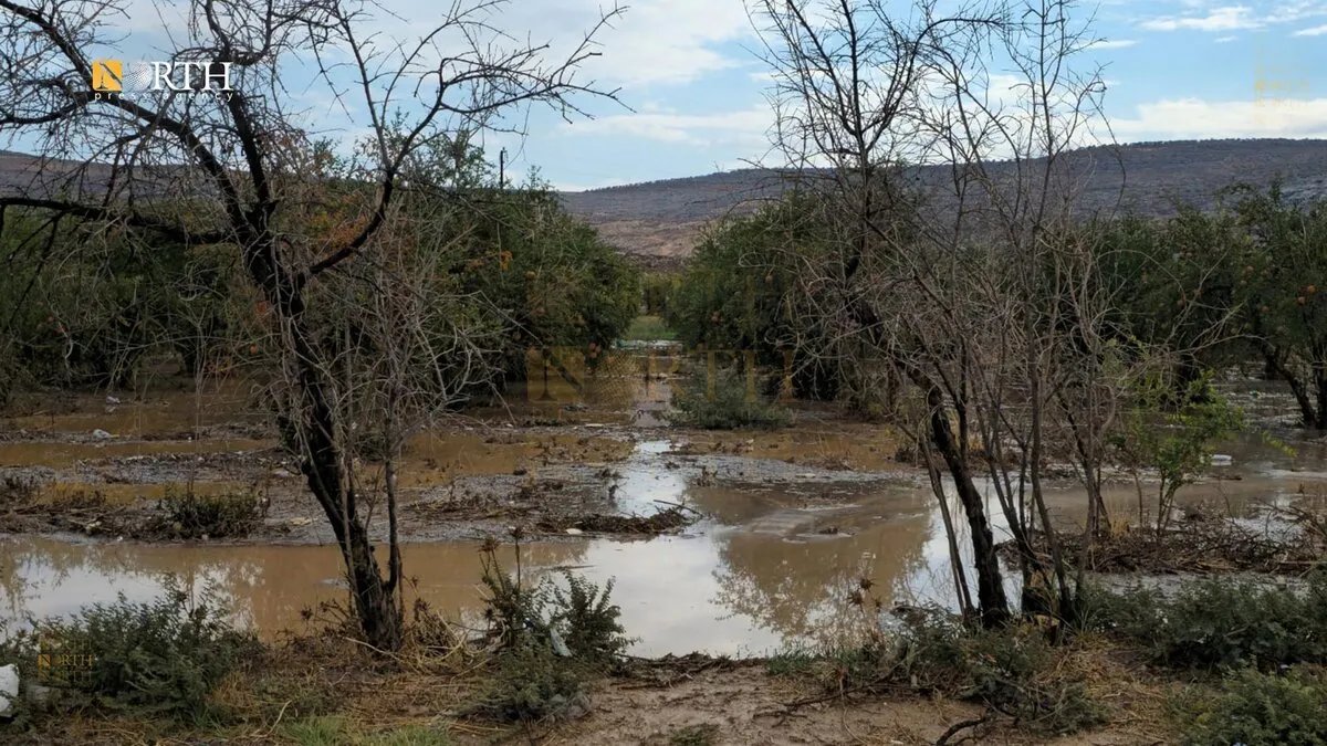 أمطار غزيرة تتسبب في سيول بمدينة عفرين شمال حلب