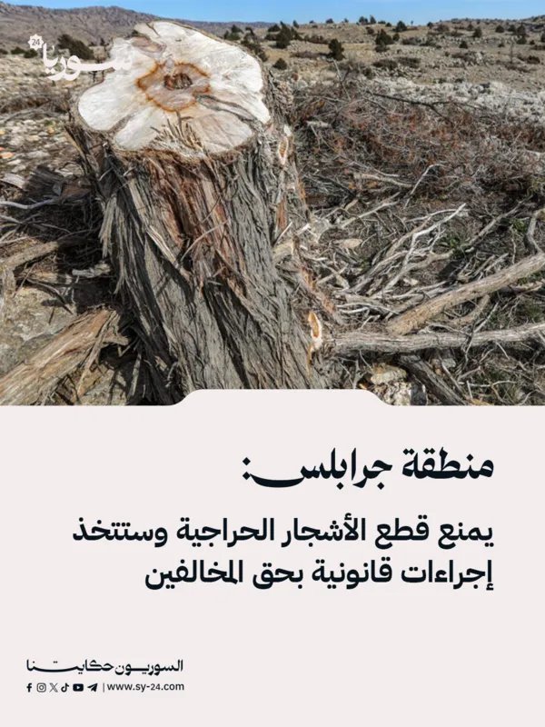 جرابلس تحظر قطع الأشجار وتتوعد المخالفين بإجراءات قانونية صارمة