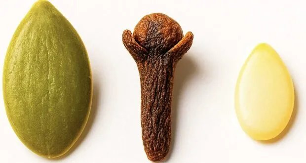 اكتشف الفوائد الصحية المذهلة لبذور اليقطين والقرنفل والسمسم