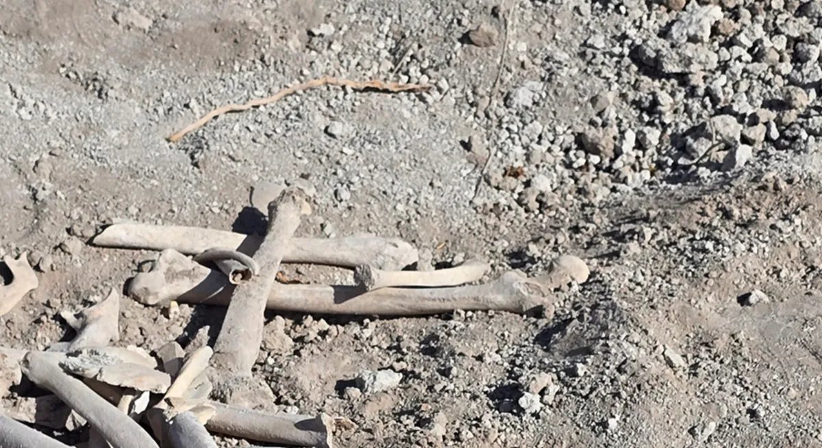 مقبرة جماعية مروعة في تل الصوان بدمشق: اكتشاف رفات نساء وأطفال