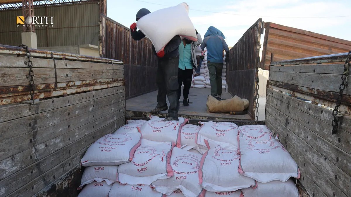 كوباني: بدء توزيع بذار القمح المدعوم على المزارعين لتسريع وتيرة الزراعة