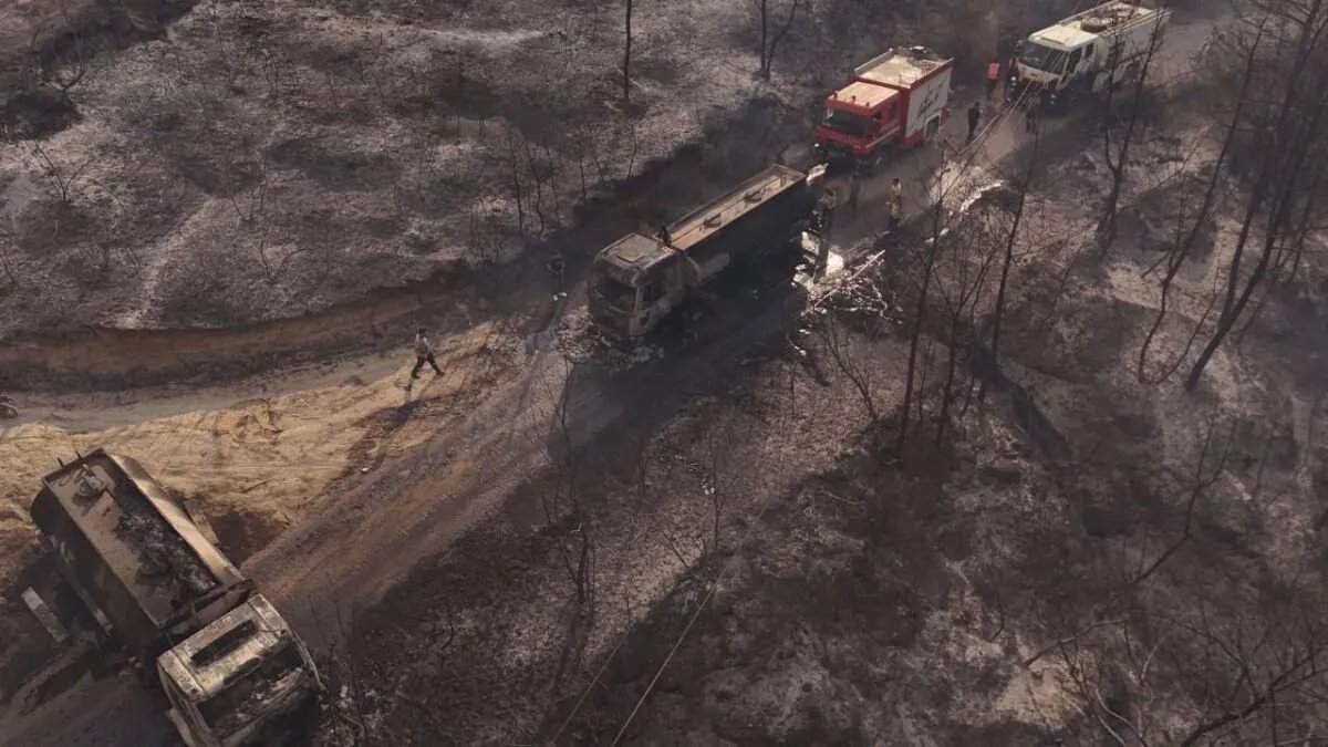 حصيلة مفزعة: أكثر من 9600 حريق تجتاح سوريا منذ بداية 2025