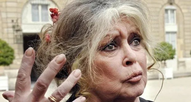 بريجيت باردو تنفي شائعات وفاتها وتؤكد: أنا بخير ولا أنوي الاستسلام