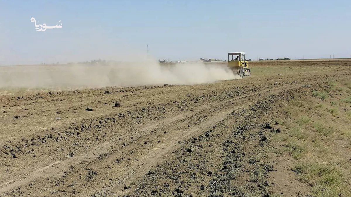 أزمة في ريف عامودا: ارتفاع تكاليف الزراعة يهدد موسم الحصاد ويزيد معاناة المزارعين