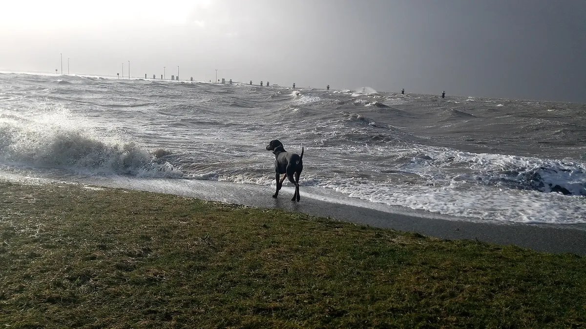 تحذيرات في شمال ألمانيا من العاصفة "جوشوا" ورياح تصل إلى 140 كم/ساعة