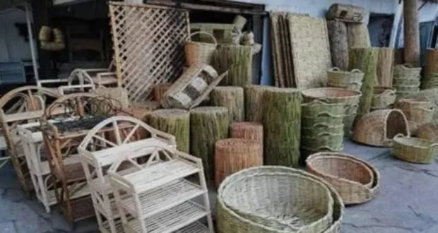 السلال القصبية: فن الريف الساحلي العريق يقاوم تحديات العصر ويناشد الدعم