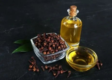 القرنفل: كنز طبيعي لصحة الصدر والجهاز التنفسي وفوائد صحية متعددة