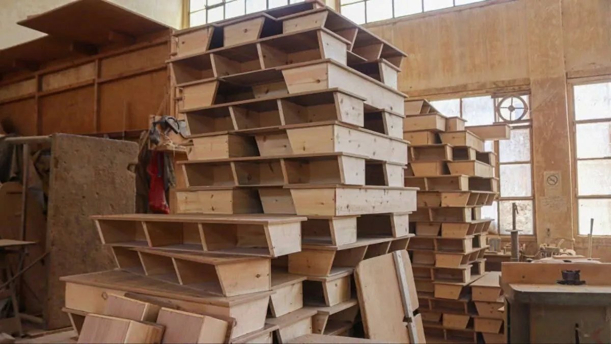 مبادرة إماراتية لدعم التعليم في سوريا: رجل أعمال يتبرع بـ 100 ألف مقعد مدرسي