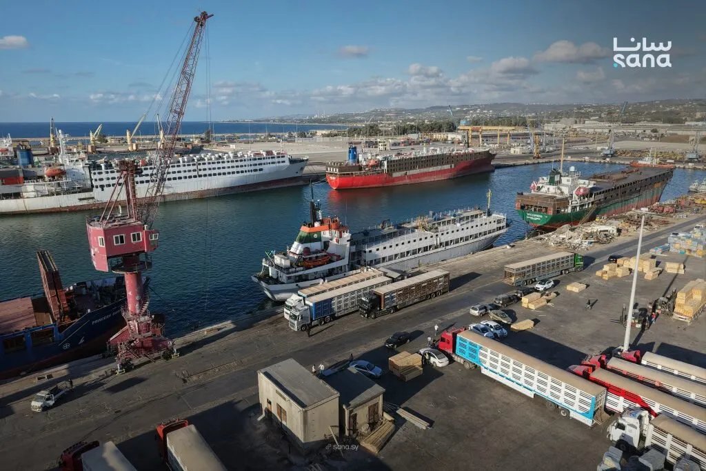 مرفأ طرطوس يعزز مكانته باستقبال شحنة عجول برازيلية متجهة إلى العراق