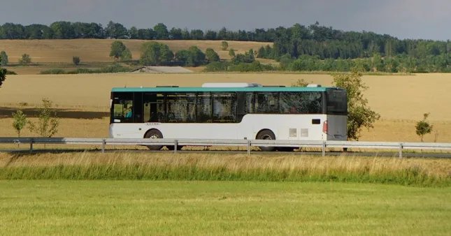 مبادرة مبتكرة في ألمانيا: الحافلات العامة لنقل البيض والخضروات لدعم الاقتصاد المحلي