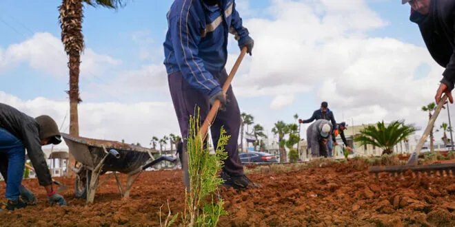 تجميل معبر نصيب الحدودي: جهود مكثفة لتحسين بوابة سوريا الجنوبية