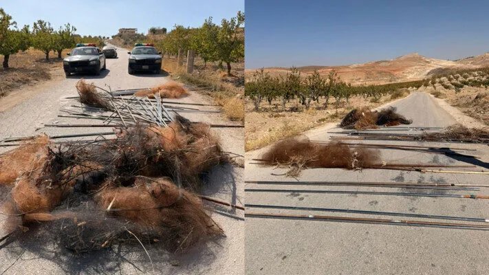 البقاع: استقصاء قوى الأمن ينقذ آلاف الطيور من الصيد غير المشروع