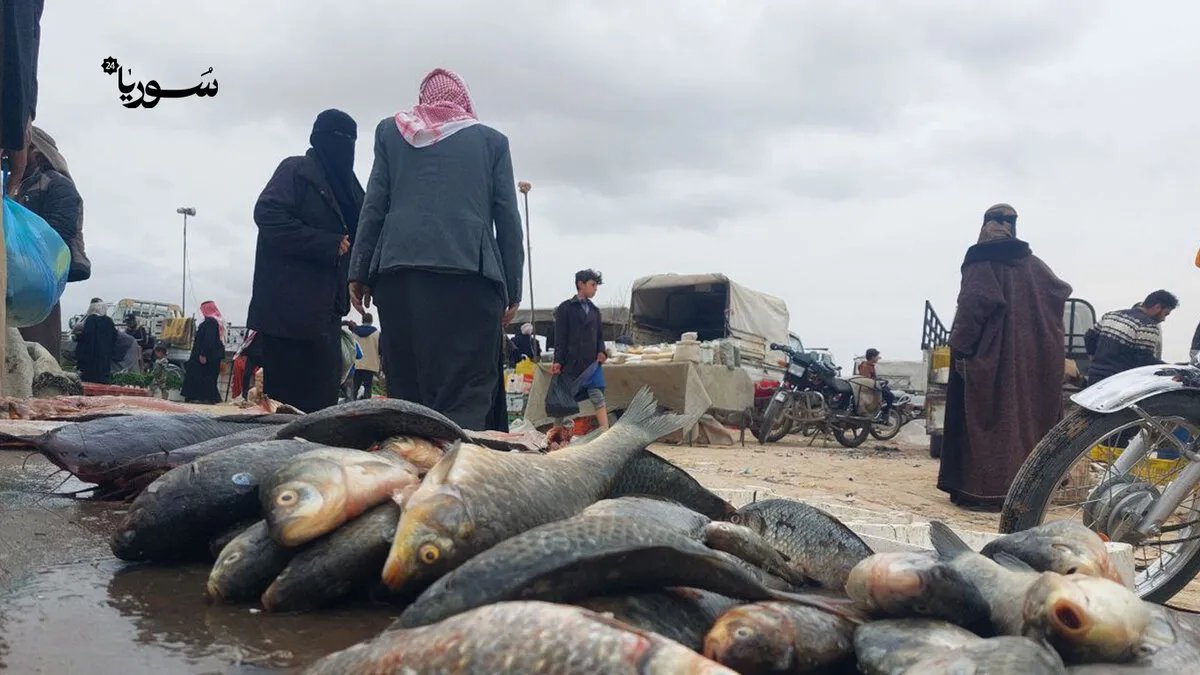 من دير الزور إلى الرقة: قصة عيسى العلي وصيد السمك كطريق للنازحين نحو الصمود